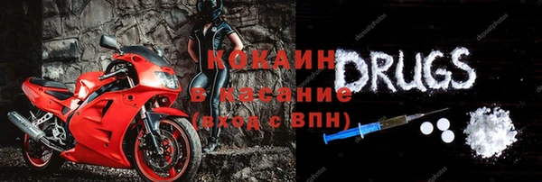 хмурый Алзамай